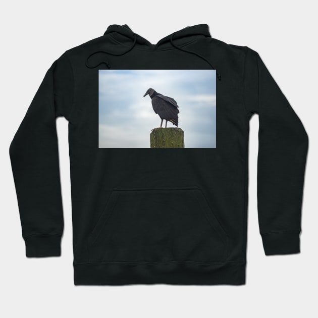 Turkey Vulture in Calabash Hoodie by KensLensDesigns